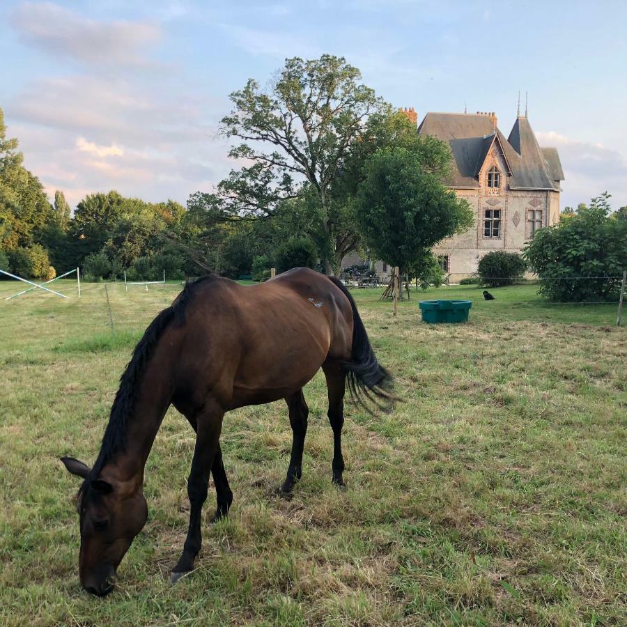 Manoir De La Chouanniere Villa Montreuil-sur-Maine Kültér fotó